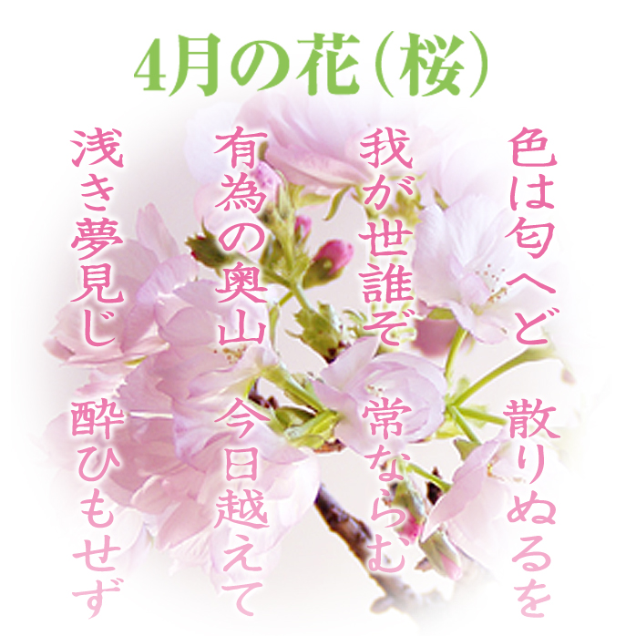 4月+.jpg
