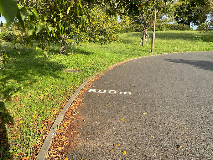 600.jpg