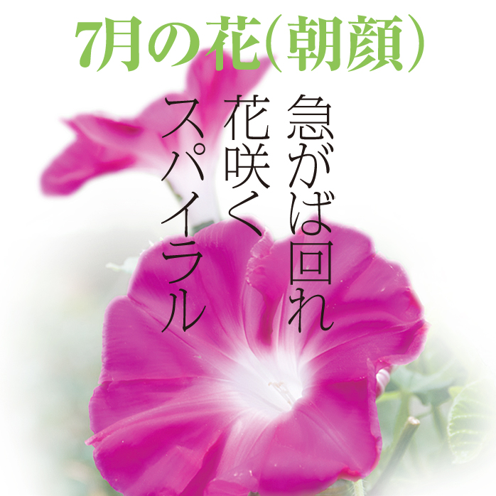 7月.jpg