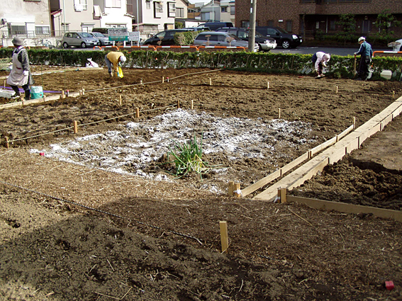 家庭菜園.jpg