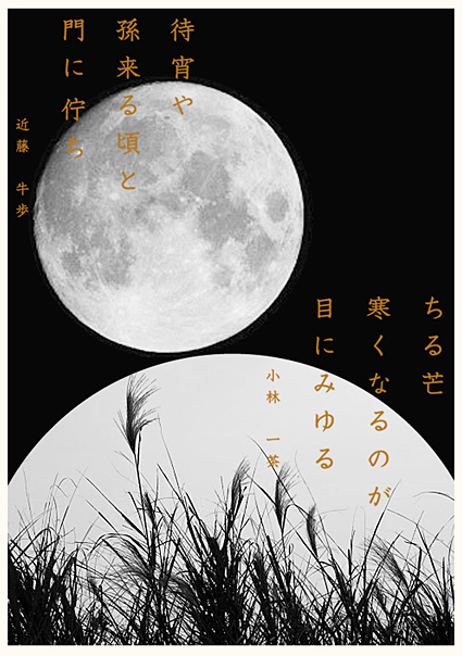 月に芒.jpg