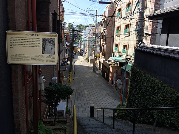丸山本通り料亭.jpg