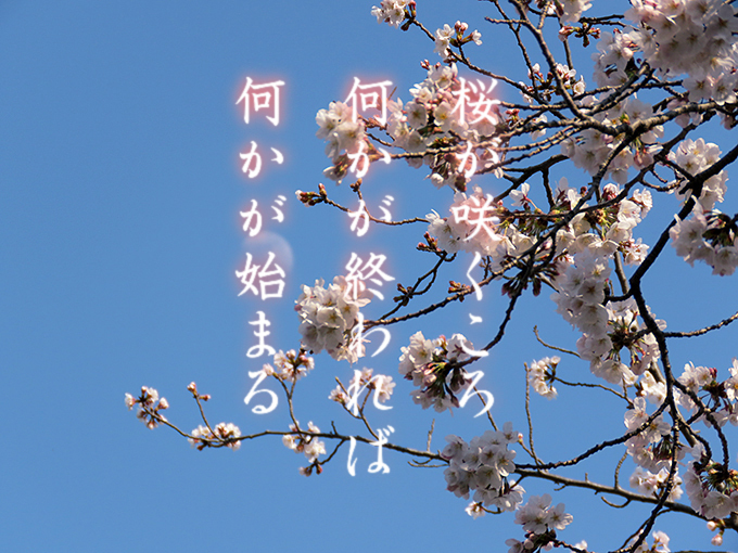 何かが1.jpg