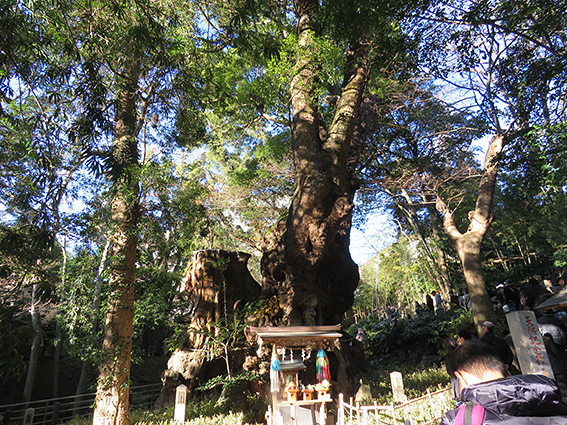 來宮神社2.jpg