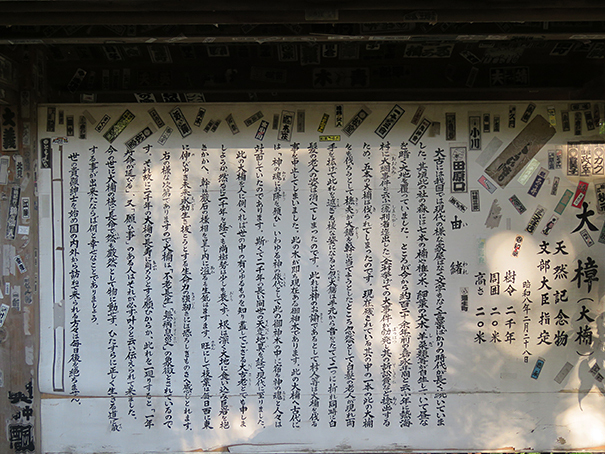 來宮神社3.jpg