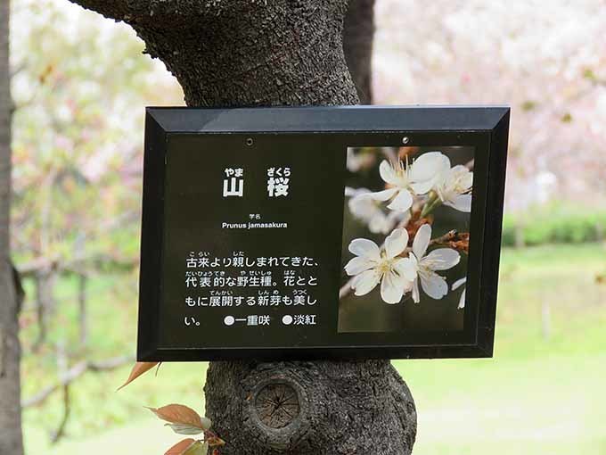 名札1.jpg