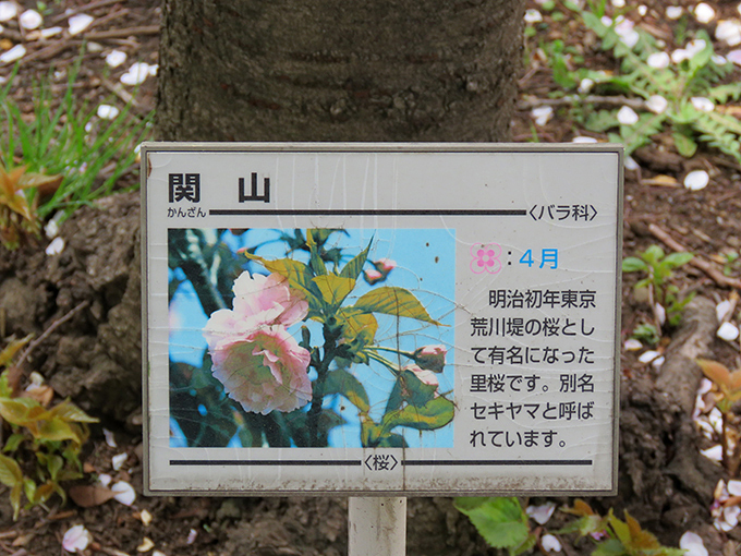名札2.jpg
