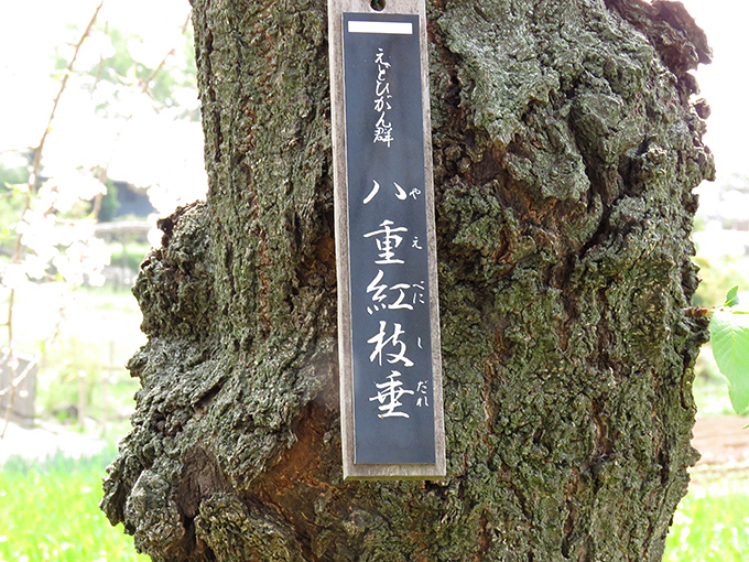 名札3.jpg