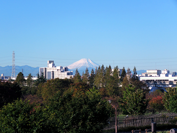 富士山1*.jpg