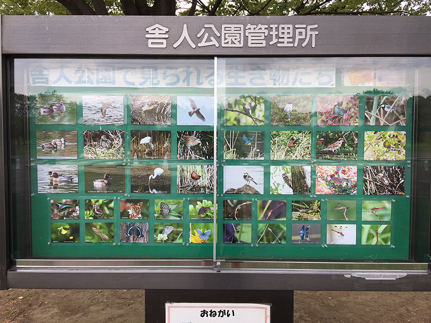 掲示板.jpg