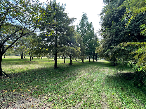 舎人公園2.jpg