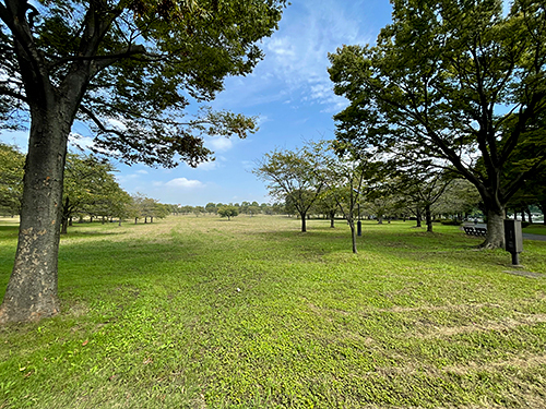 舎人公園3.jpg