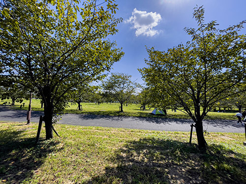 舎人公園7.jpg