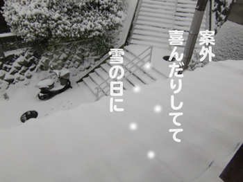 雪の日2.jpg