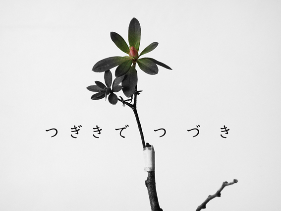 P1010016.jpg