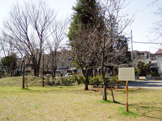 P1010031.jpg
